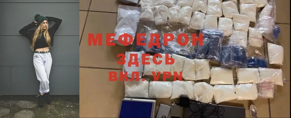 стаф Верея