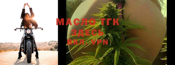 стаф Верея