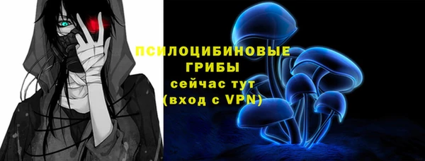 стаф Верея
