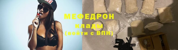 стаф Верея
