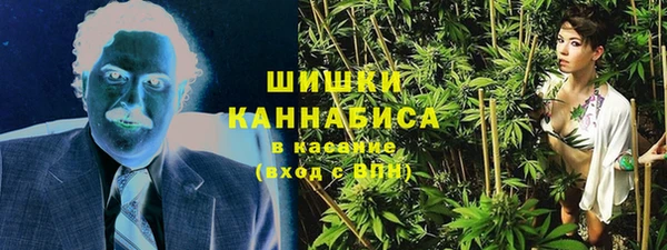 стаф Верея