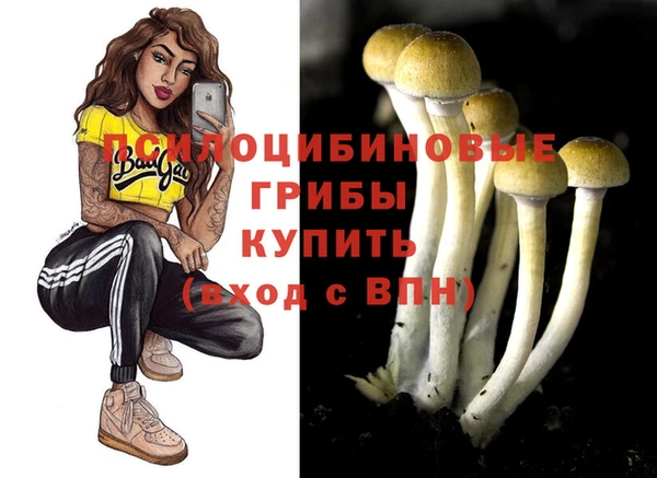 стаф Верея