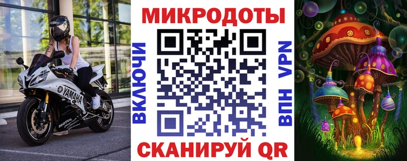дарнет шоп  Полтавская  Псилоцибиновые грибы прущие грибы 